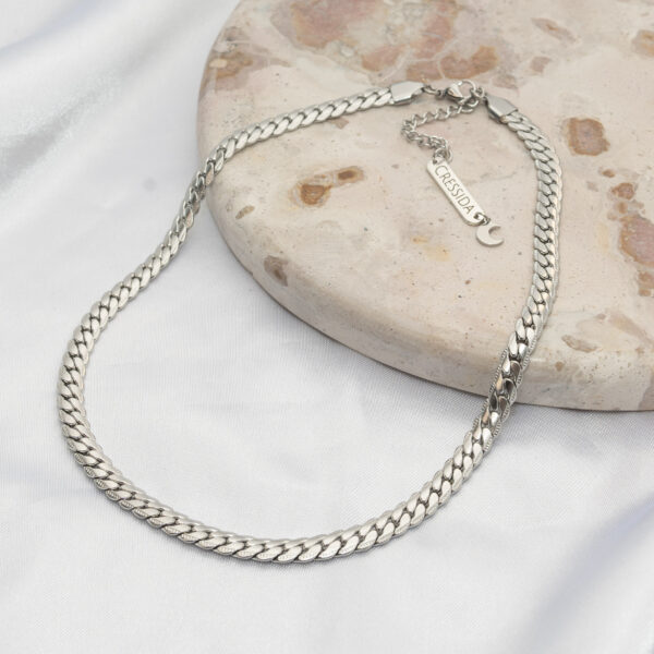 Roman Silver Necklace