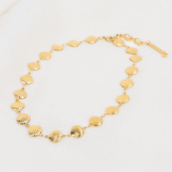 Calypso Gold Κολιέ με Κοχύλια