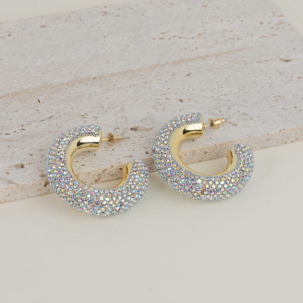 Luminous White Gold Σκουλαρίκια