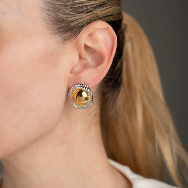 Olyra Δίχρωμα Σκουλαρίκια